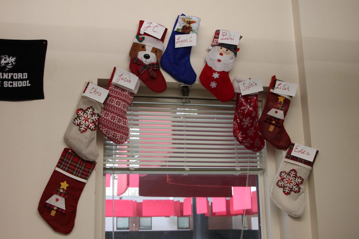 PHOTOS: Holiday decorations decking the halls of BHS