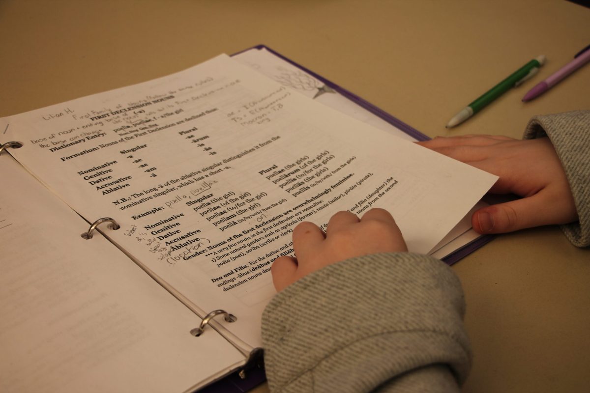 Photo credit: Lucy Mitchell