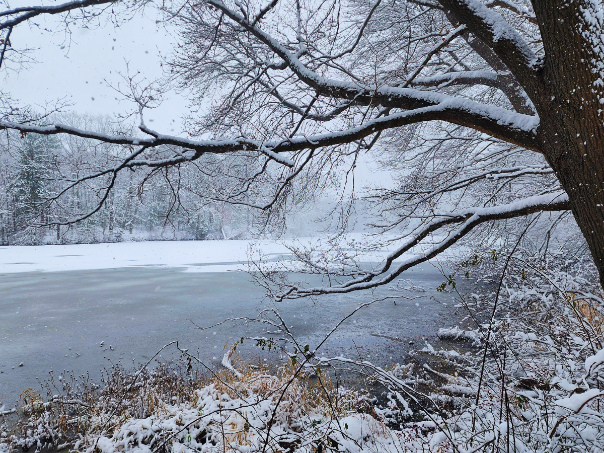 Photo by Nathan Frohlich